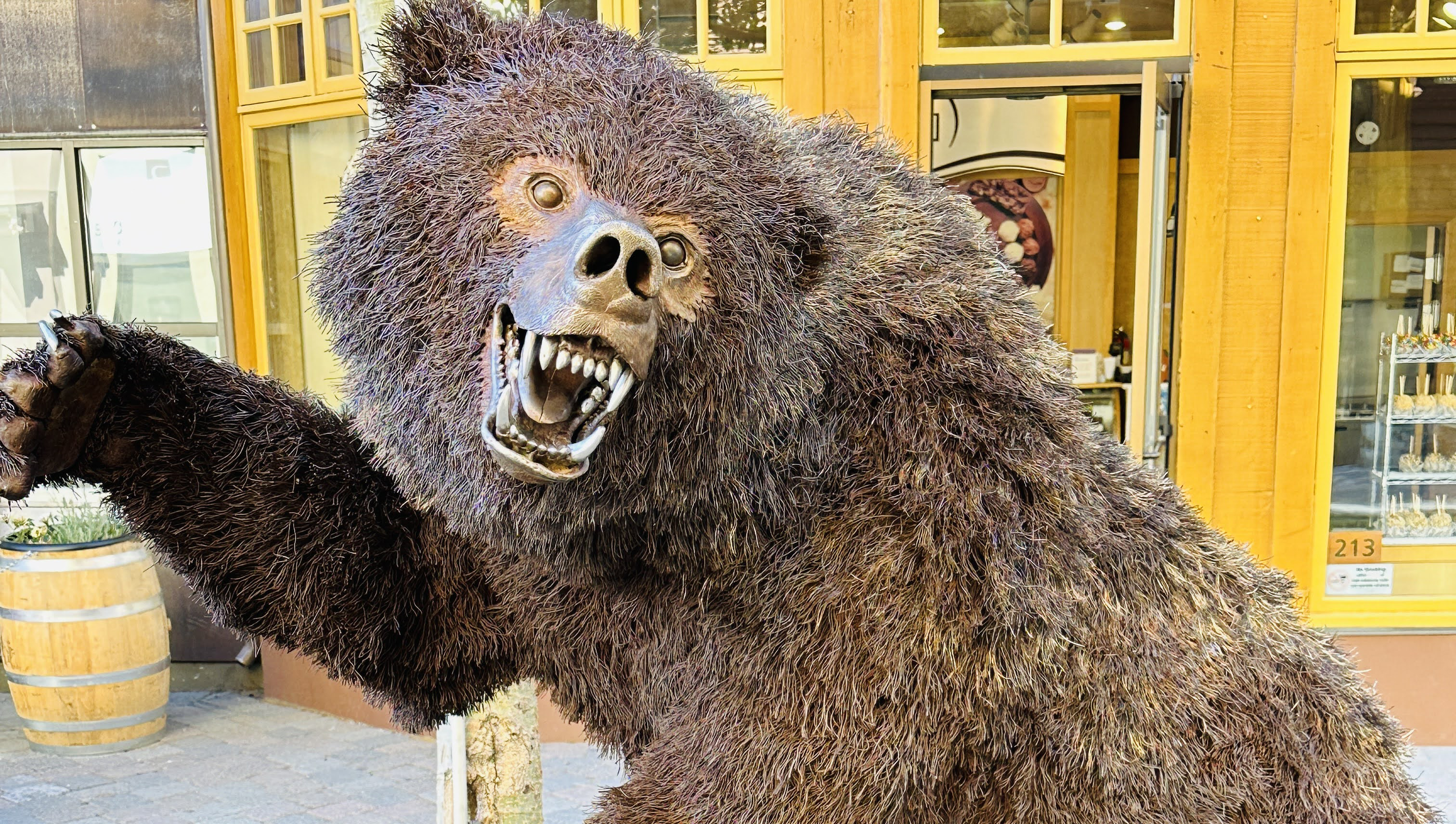 BEAR